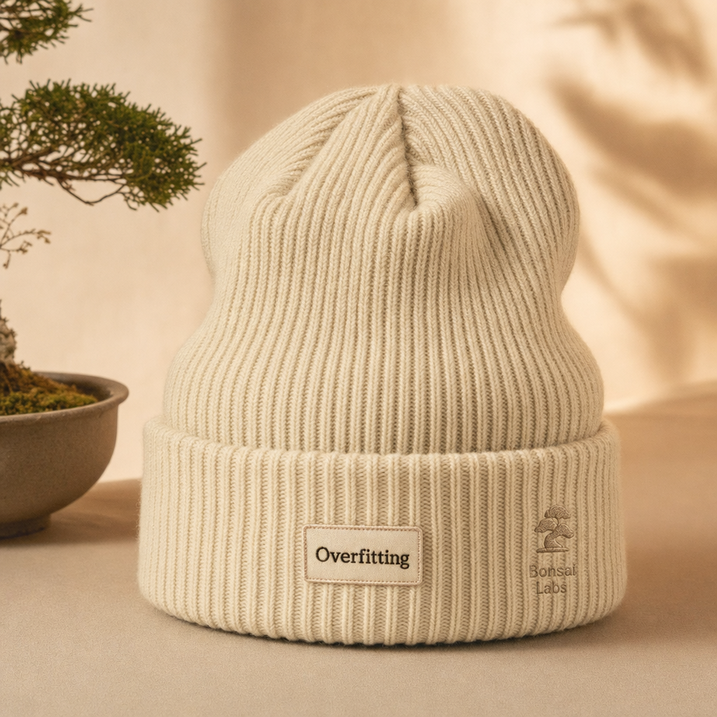 Overfitting Beanie product photo